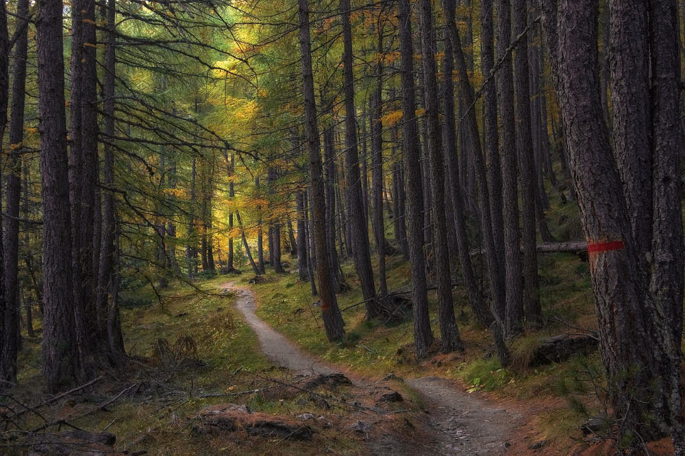 path